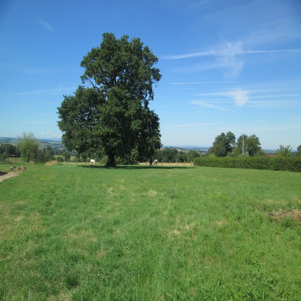 Offres de vente Terrain